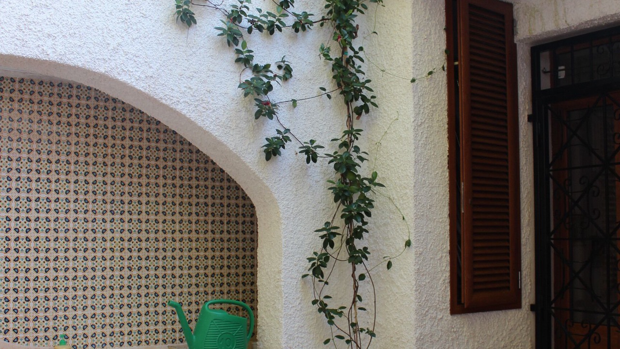Photo of Outdoor in Mattinata