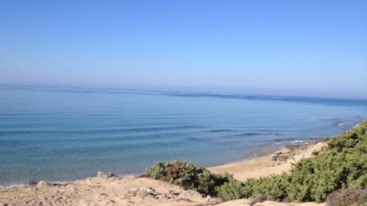 Photo of Others in Maruggio