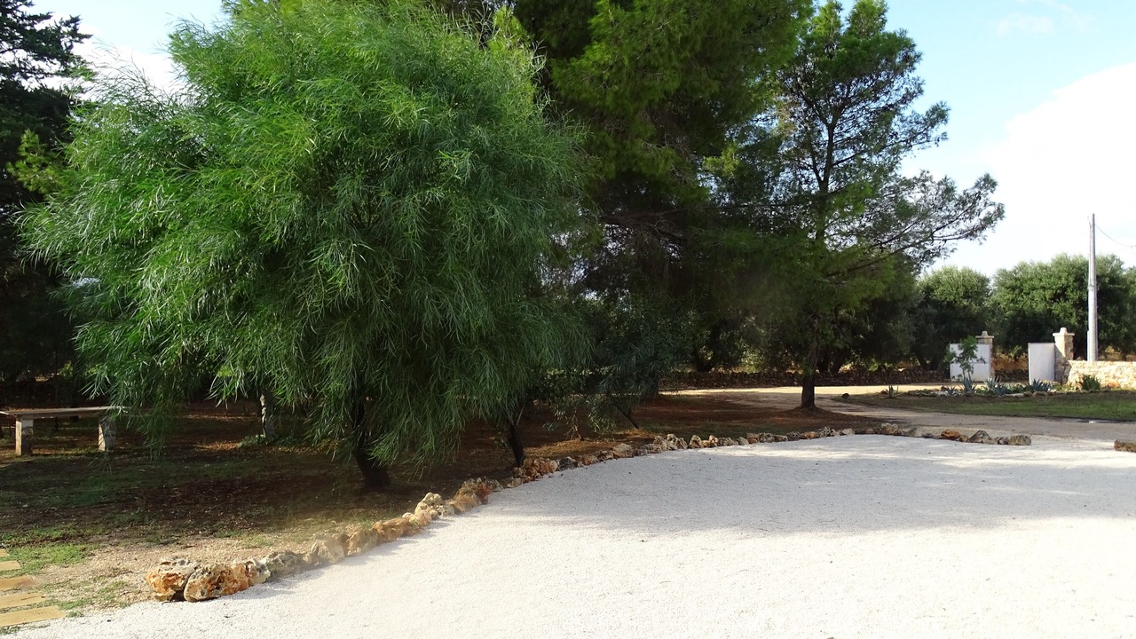 Photo of Outdoor in Maruggio