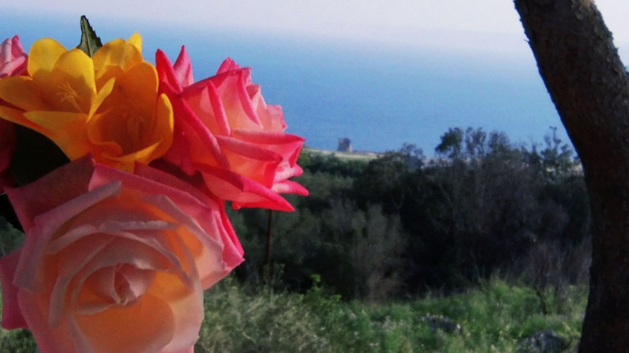Photo of Outdoor in Santa Cesarea Terme