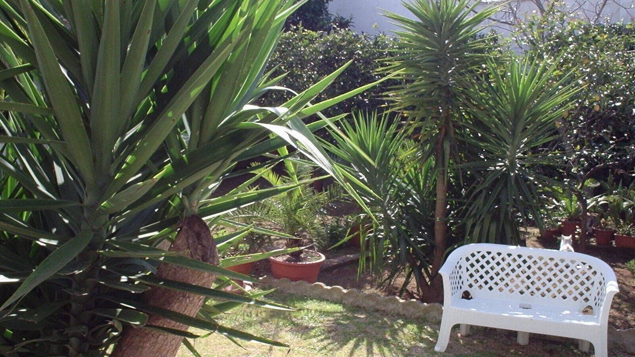 Photo of Outdoor in Nardo