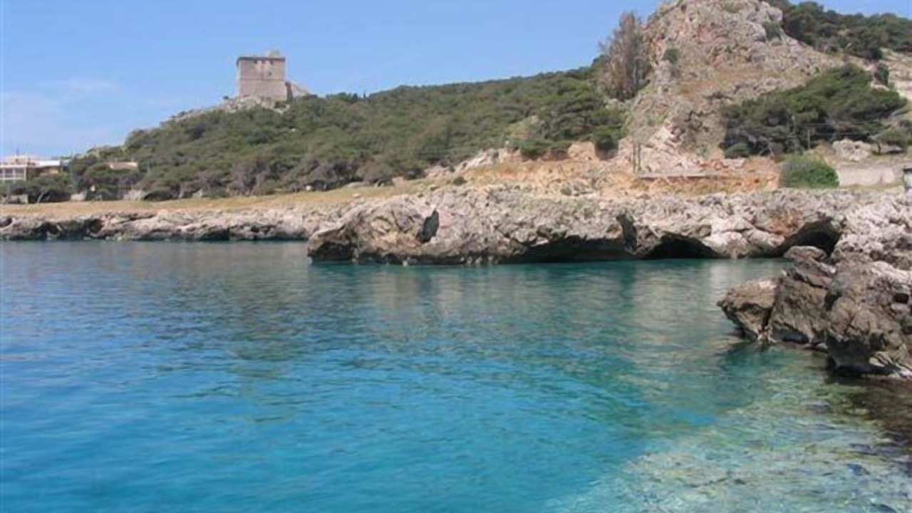 Photo of Others in Nardo
