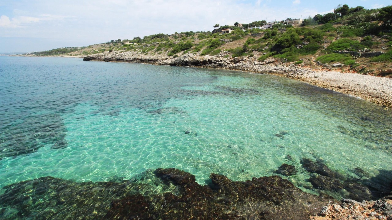 Photo of Others in Marina San Gregorio