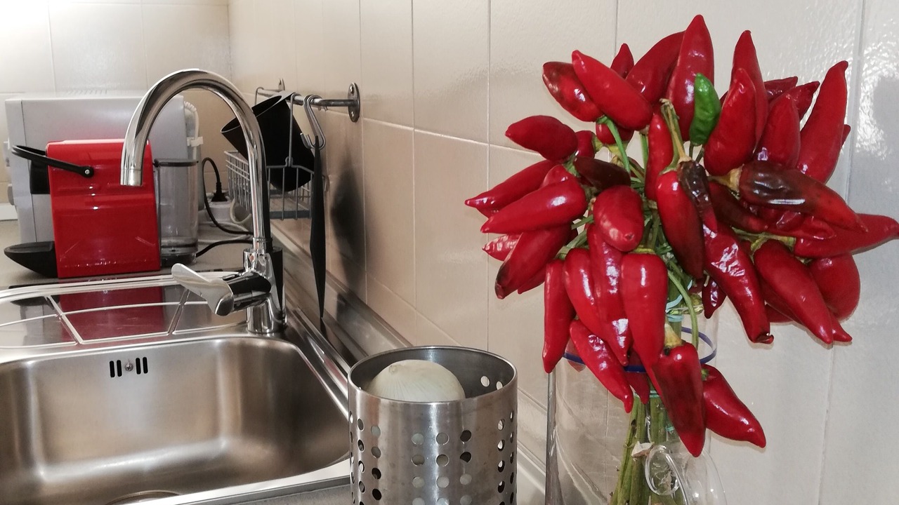 Photo of Kitchen in San Foca
