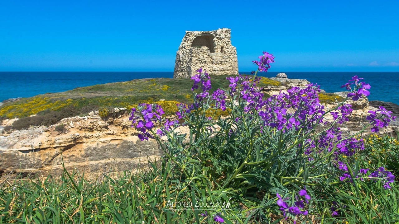 Photo of Outdoor in San Foca