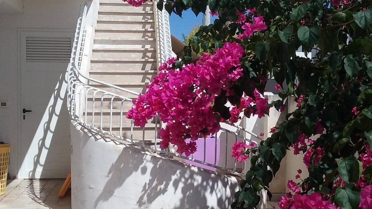 Photo of Outdoor in San Foca