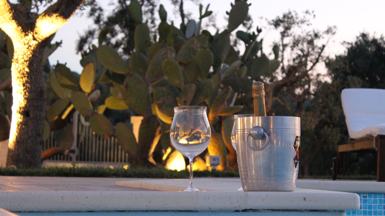 Photo of Outdoor in Santa Teresa
