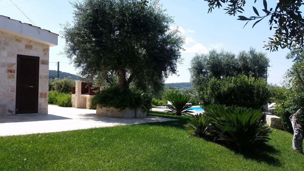 Photo of Outdoor in Santa Teresa