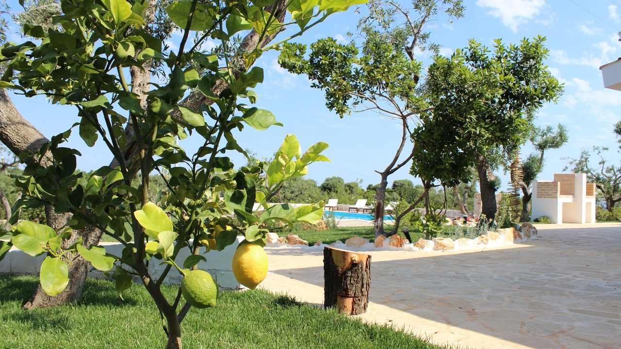 Photo of Outdoor in Santa Teresa