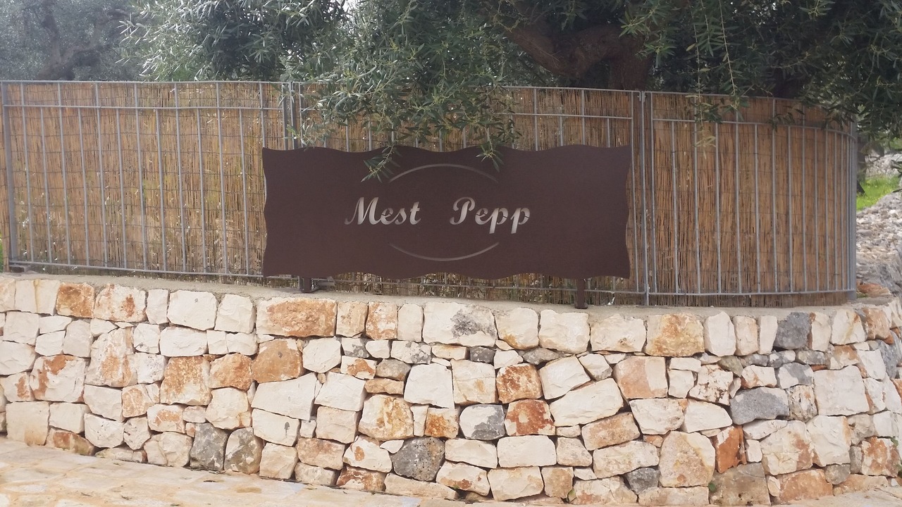 Photo of Outdoor in Santa Teresa