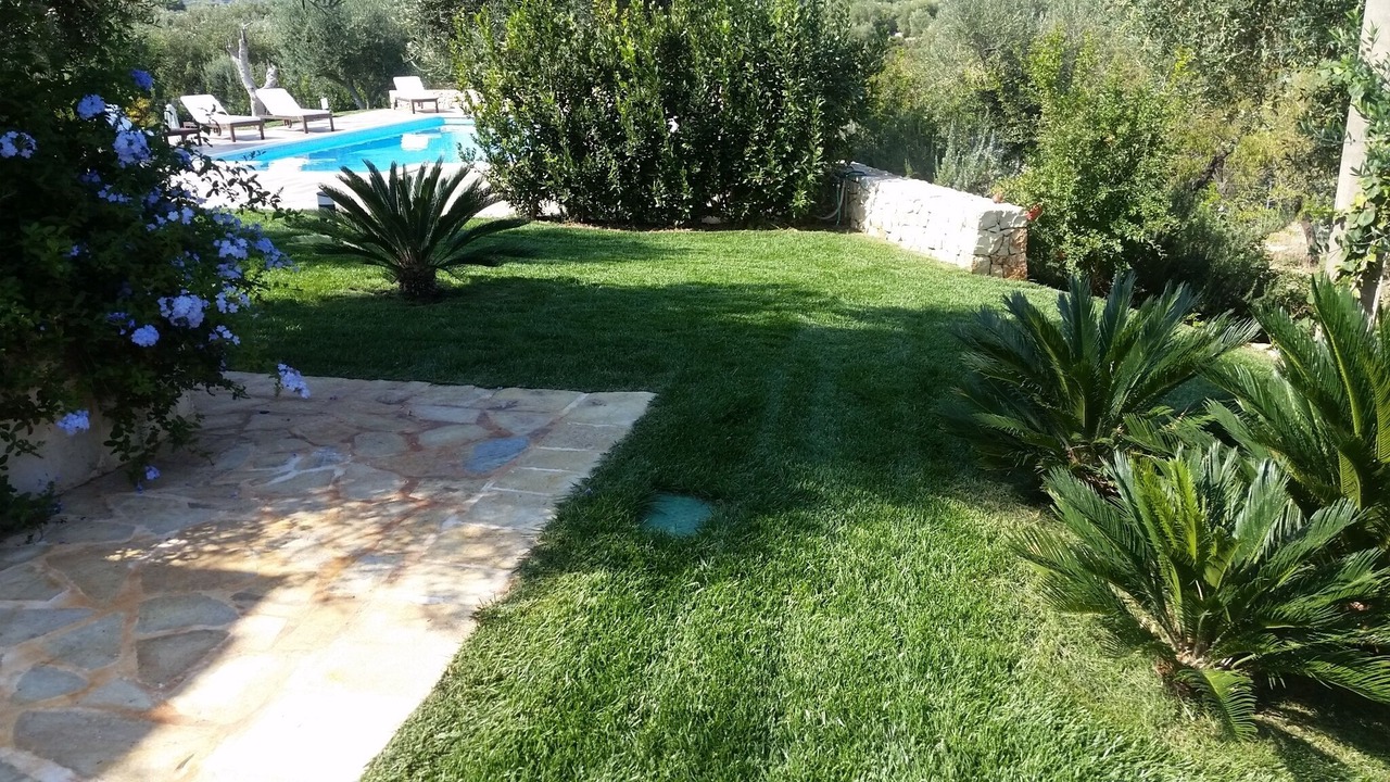 Photo of Outdoor in Santa Teresa