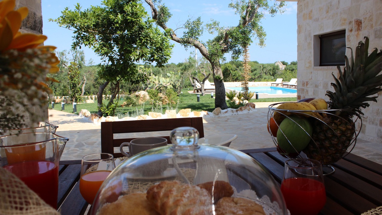 Photo of Outdoor in Santa Teresa