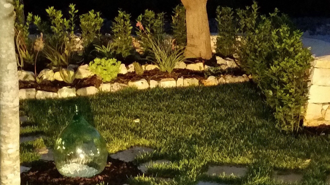 Photo of Outdoor in Santa Teresa
