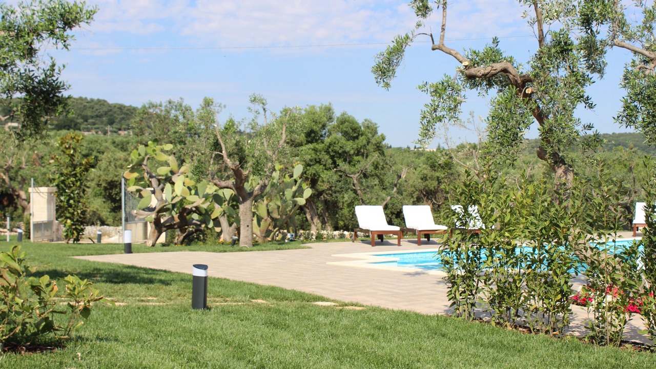 Photo of Outdoor in Santa Teresa