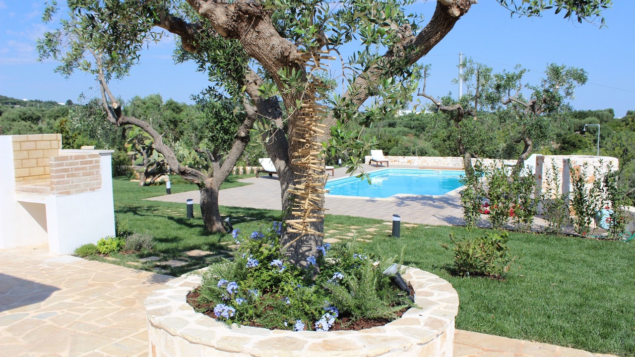 Photo of Outdoor in Santa Teresa