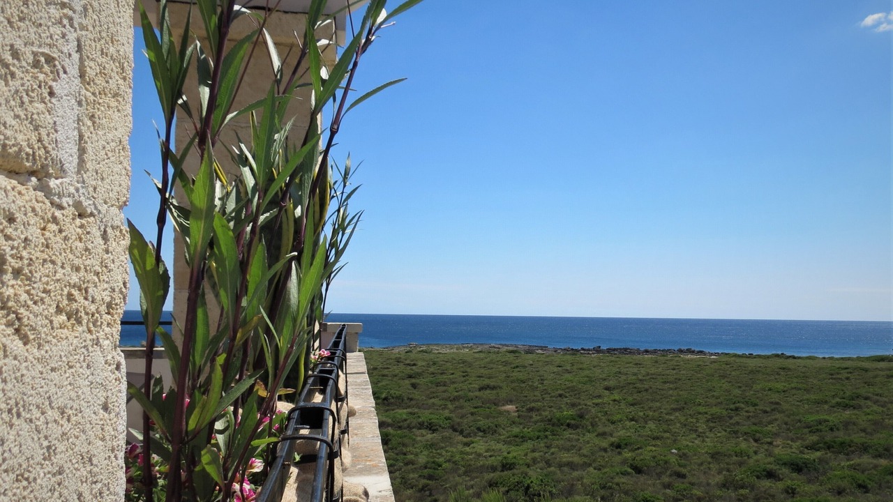 Photo of Others in Porto Cesareo