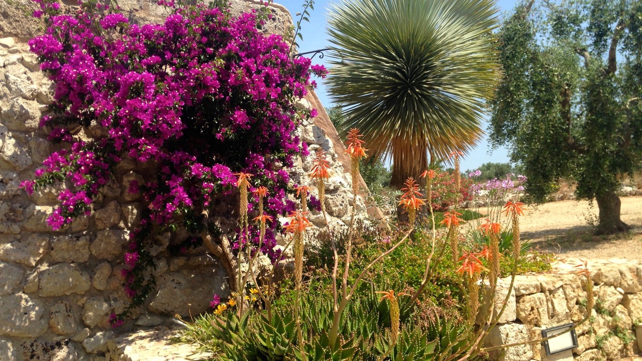 Photo of Outdoor in Porto Tricase