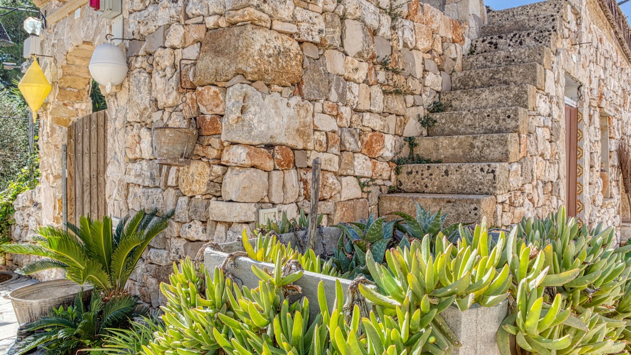 Photo of Outdoor in Torre Pali