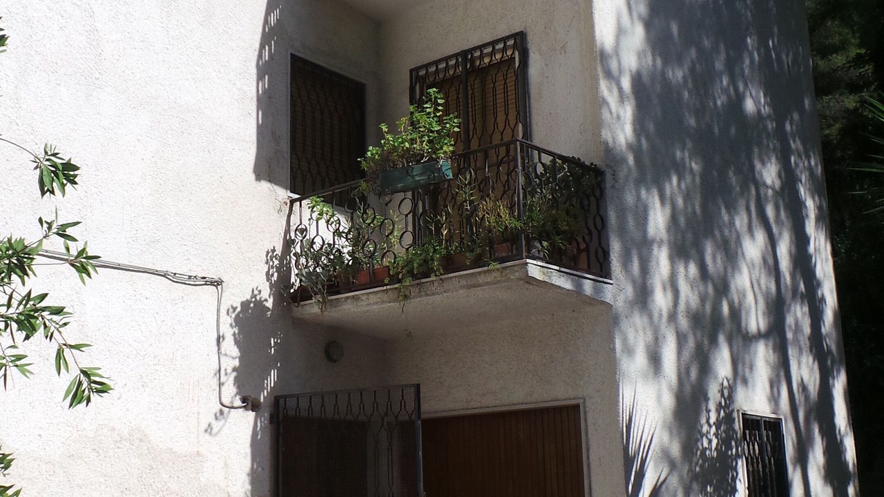 Photo of Outdoor in Vico del Gargano