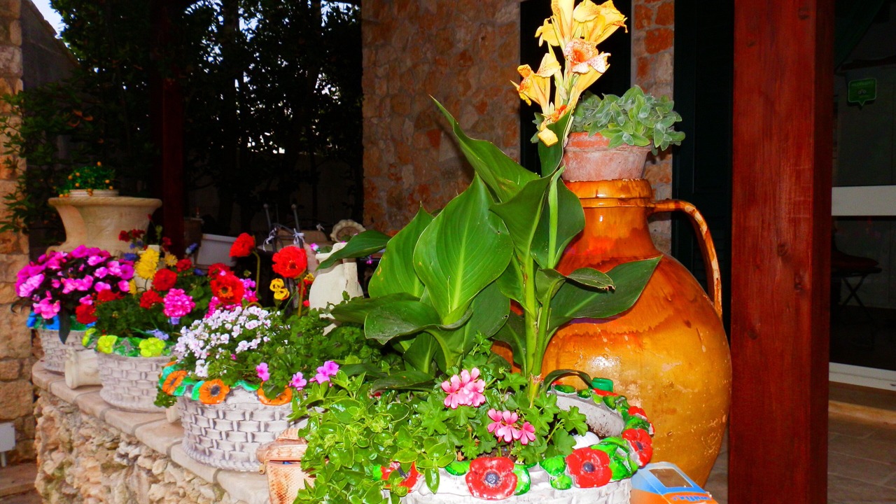 Photo of Outdoor in Otranto