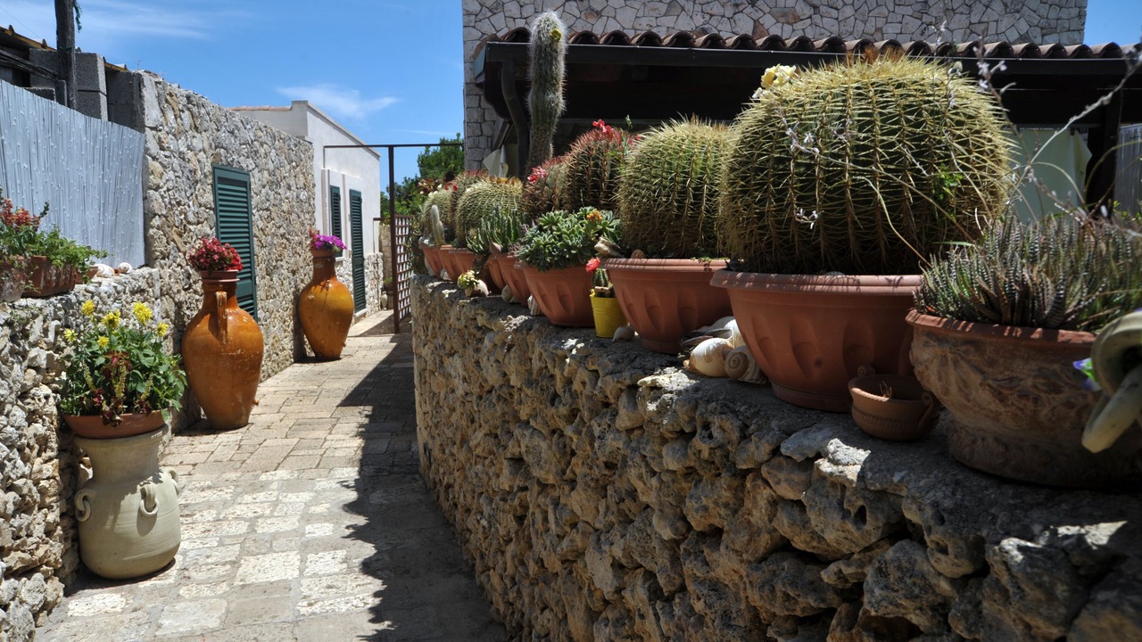Photo of Outdoor in Otranto
