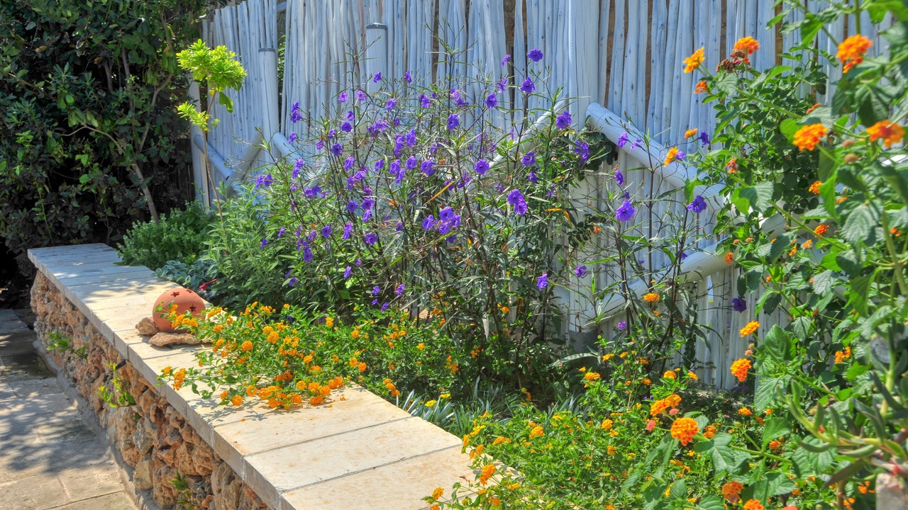 Photo of Outdoor in Otranto