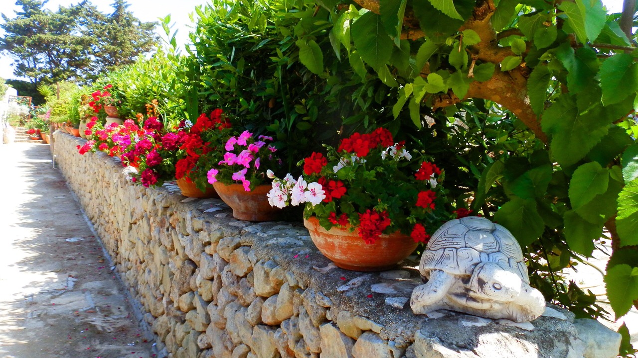Photo of Outdoor in Otranto