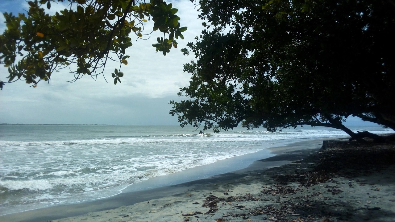 Photo of Others in Mahambo