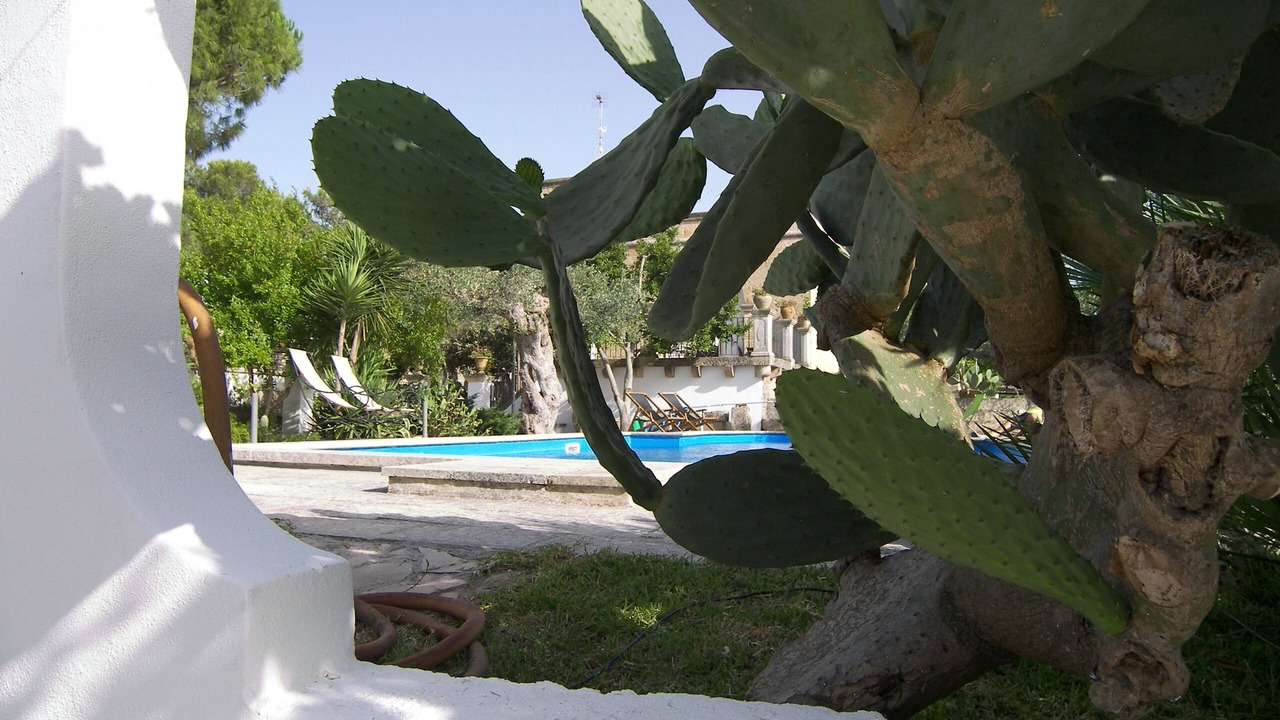 Photo of Outdoor in Specchia
