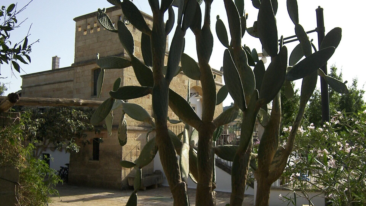 Photo of Outdoor in Specchia