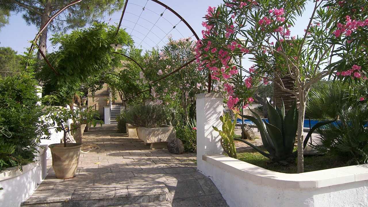 Photo of Outdoor in Specchia