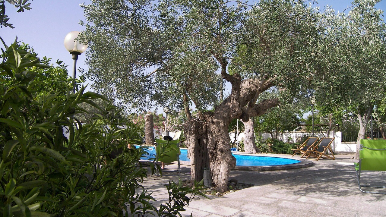 Photo of Outdoor in Specchia