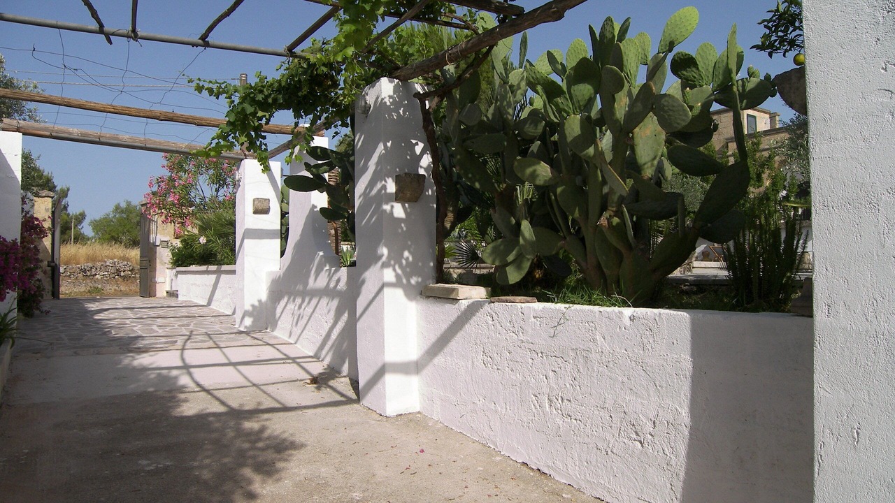 Photo of Outdoor in Specchia
