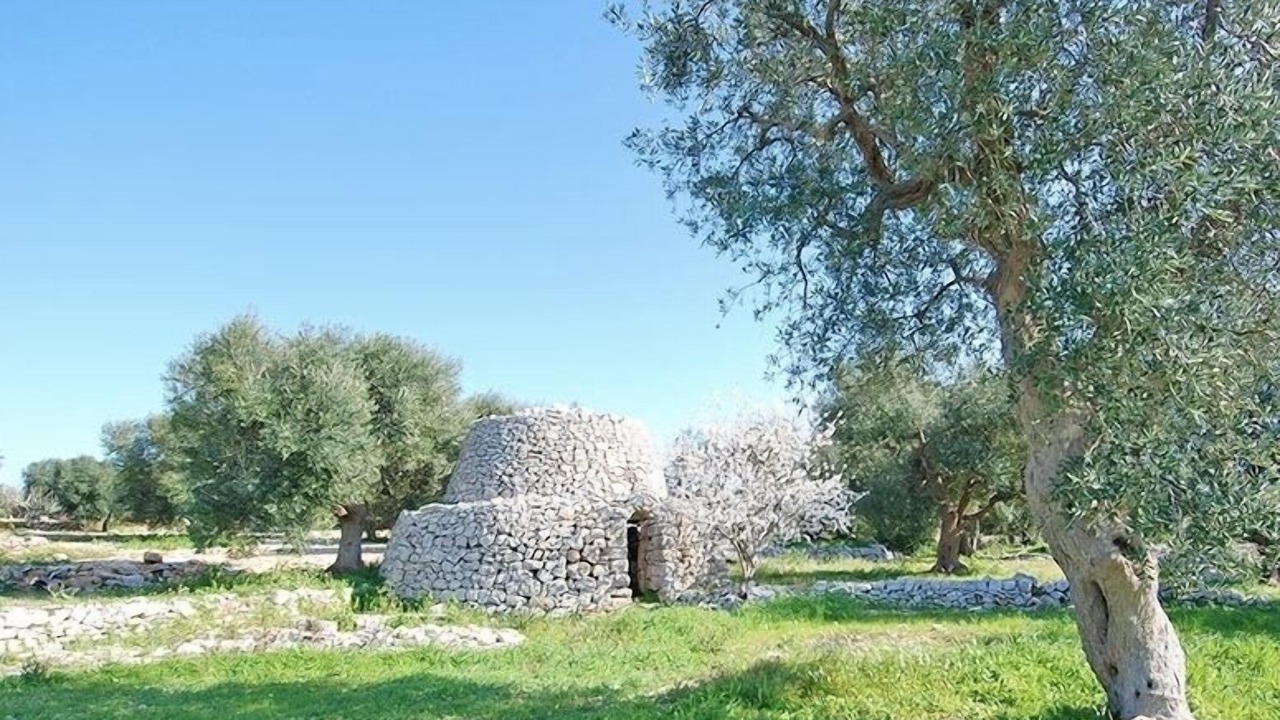Photo of Outdoor in Sannicola