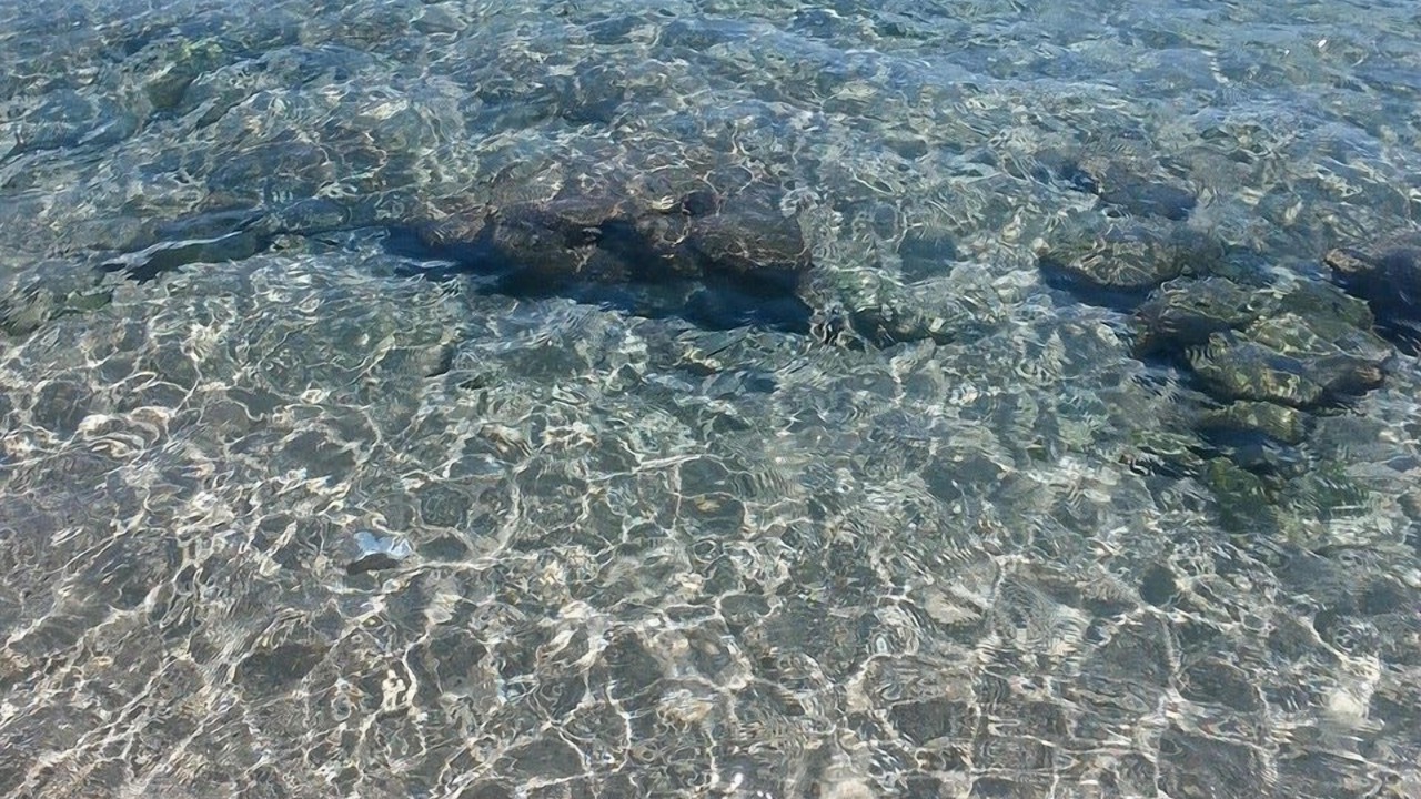 Photo of Others in Campomarino di Maruggio