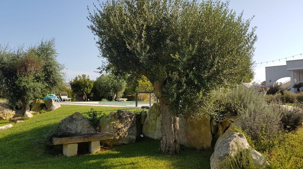 Photo of Outdoor in Sanarica