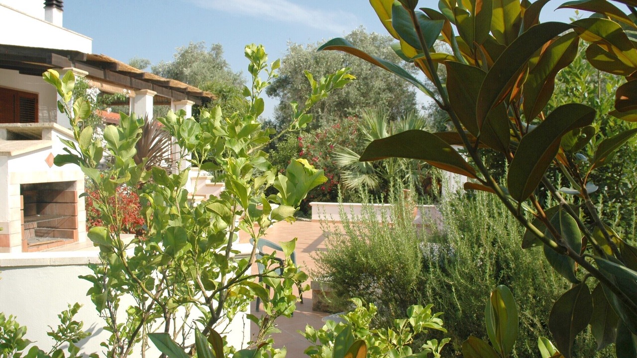 Photo of Outdoor in Oria