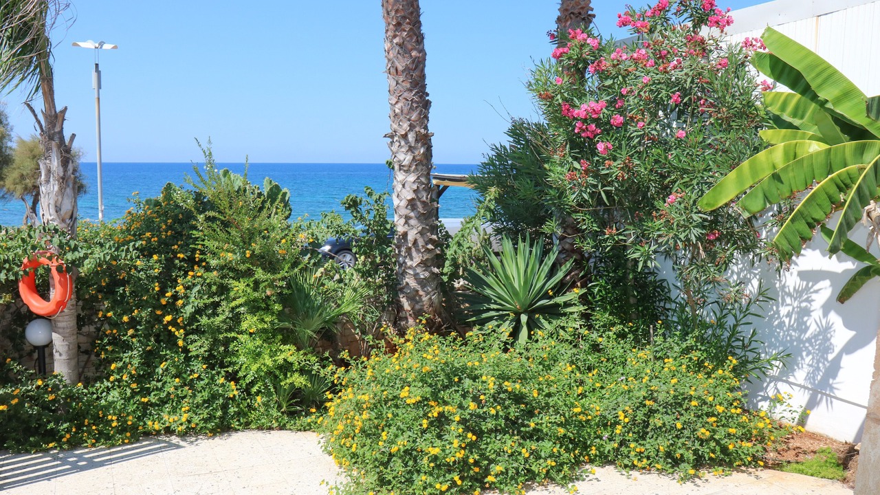 Photo of Outdoor in Posto Rosso