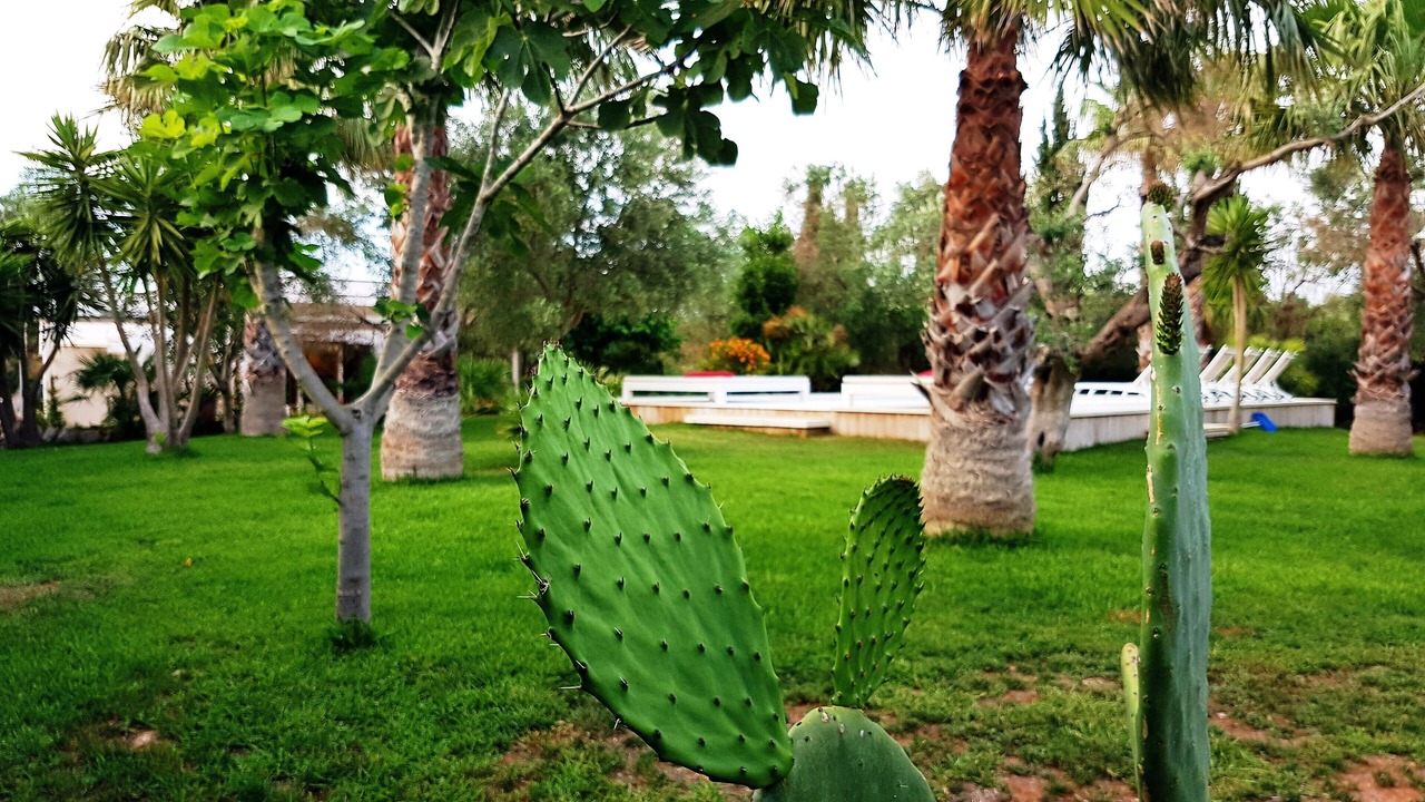 Photo of Outdoor in Ugento