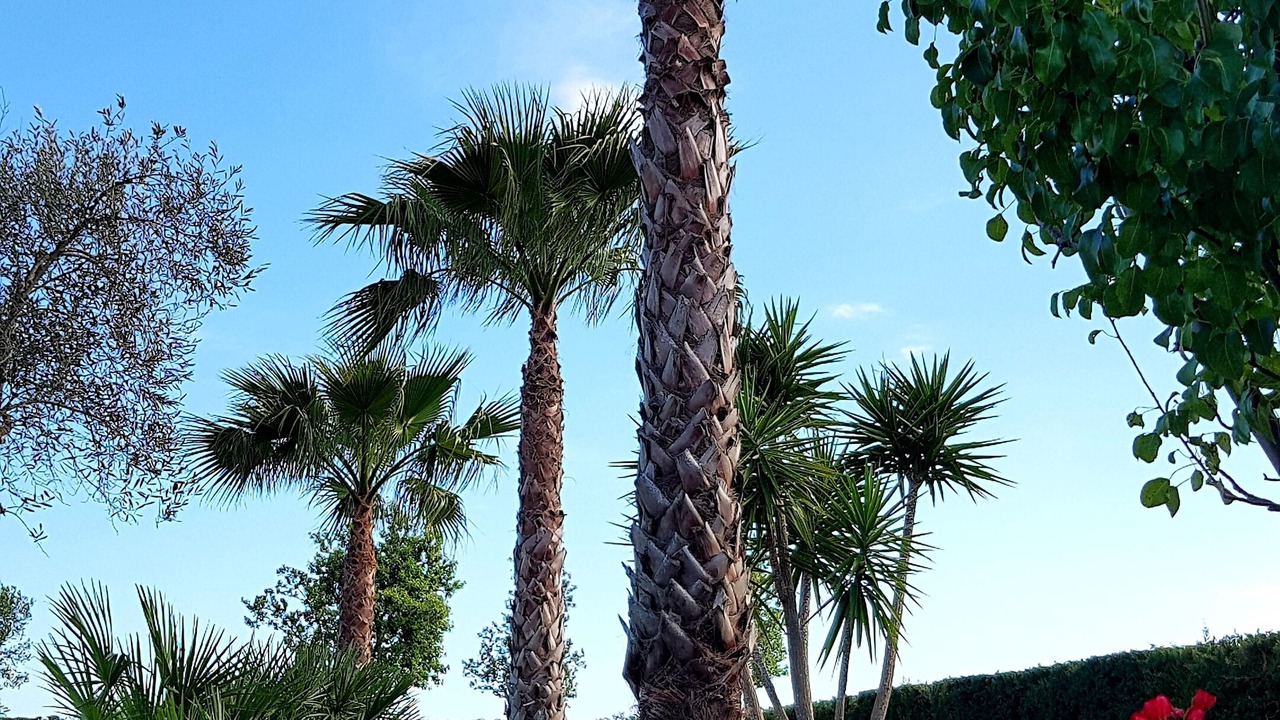 Photo of Outdoor in Ugento