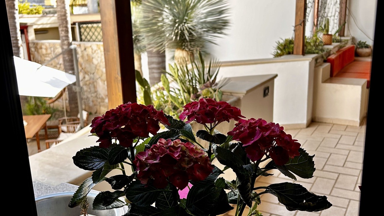 Photo of Outdoor in Lecce