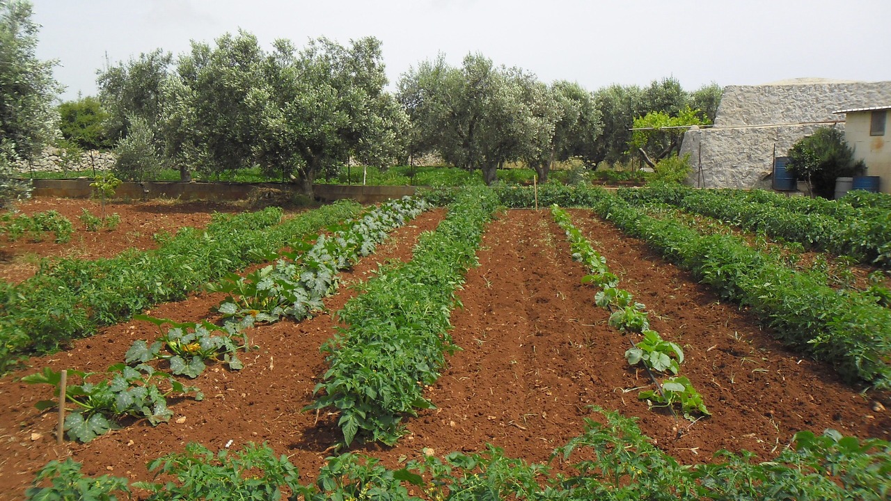 Photo of Outdoor in Corsano