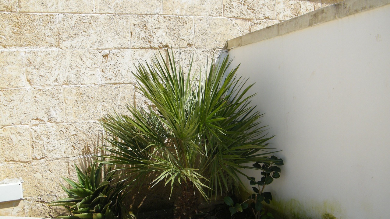 Photo of Outdoor in Torre Specchia Ruggeri