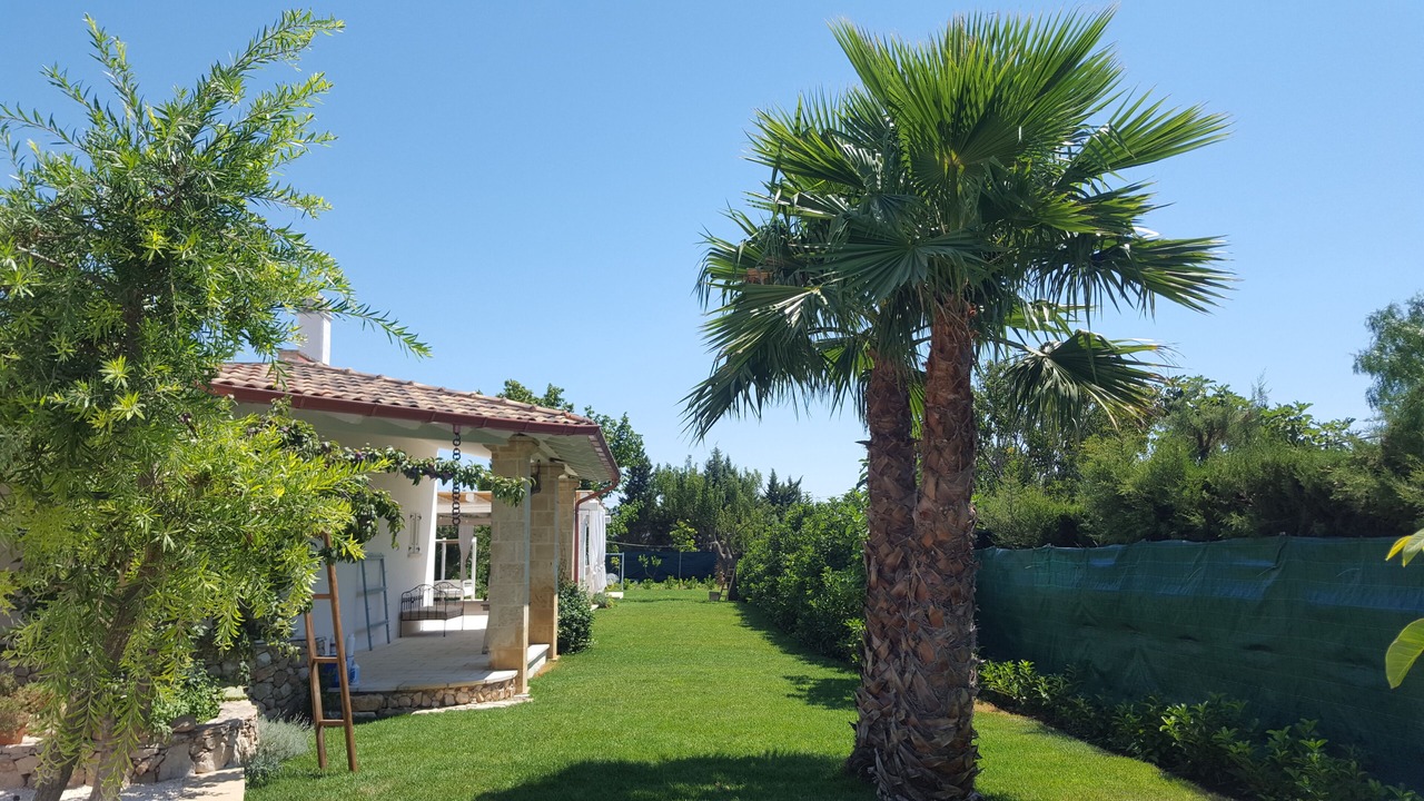 Photo of Outdoor in Parabita