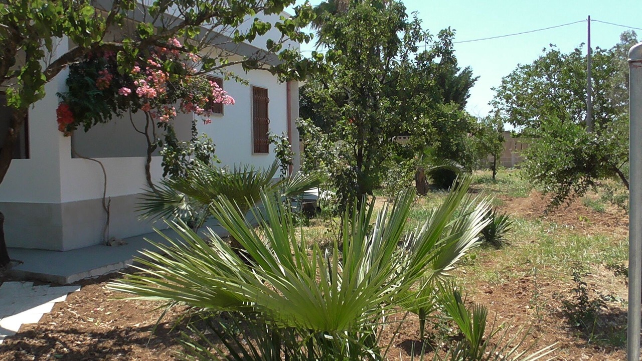 Photo of Outdoor in Matino