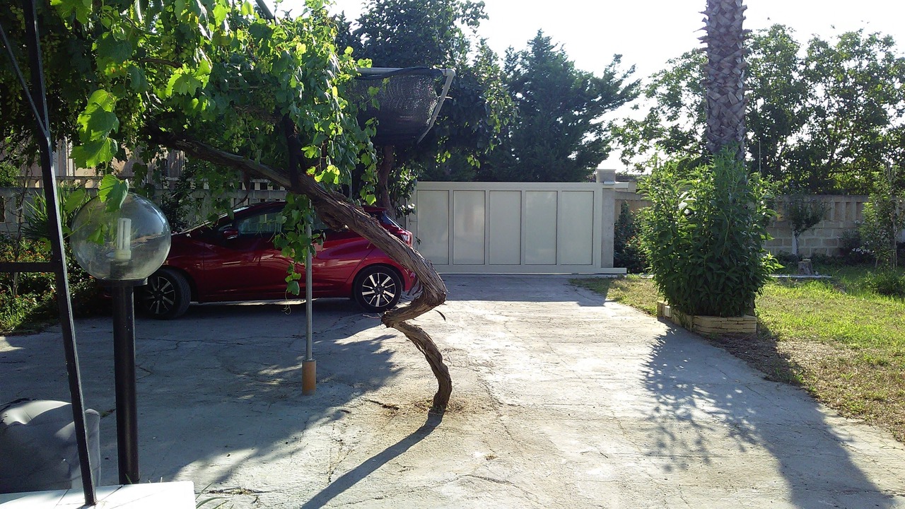 Photo of Outdoor in Matino