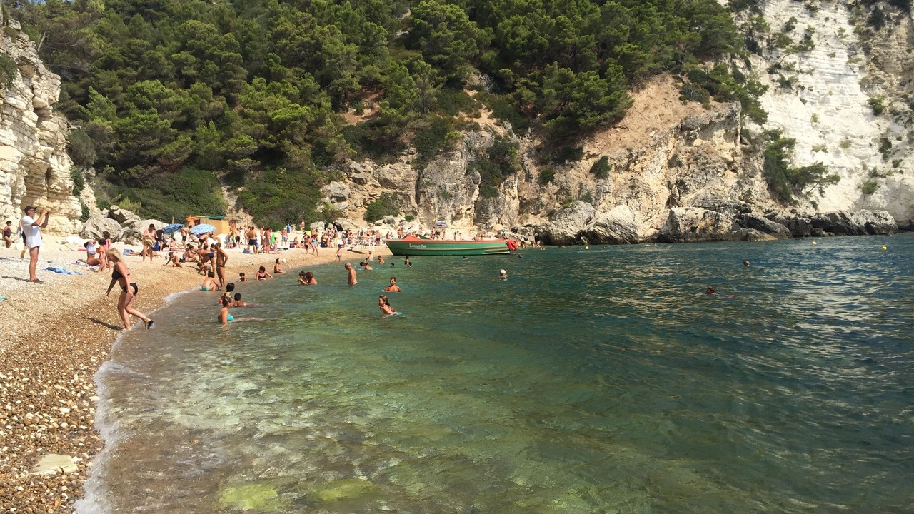 Photo of Others in Defensola
