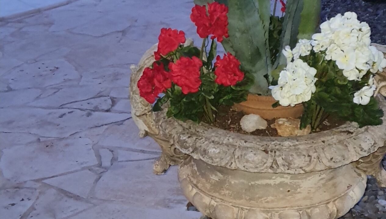 Photo of Outdoor in Alberobello