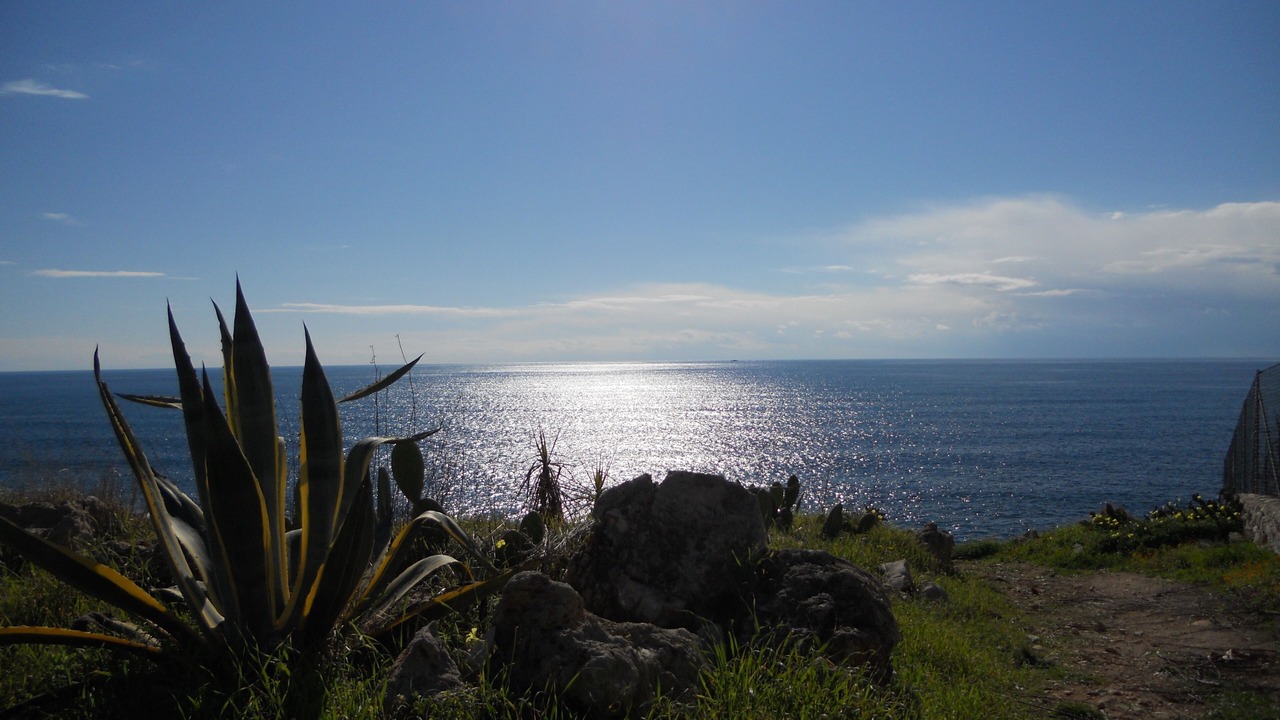 Photo of Others in Marina San Gregorio