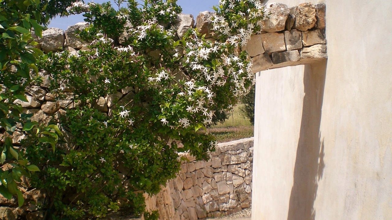 Photo of Outdoor in Ostuni
